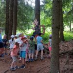 phoca_thumb_m_vp- 4. den  287 Fotogalerie